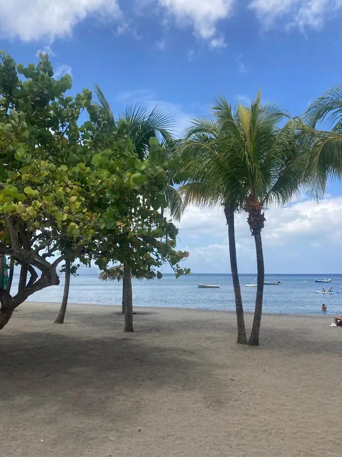 Hébergement de vacances Ti Repos Martinique - Maison Avec Spa Schoelcher Martinique